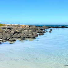 Griffiths Island Reserve