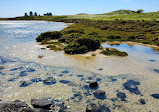 Griffiths Island Reserve