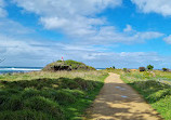 Griffiths Island Reserve