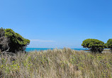 Port Fairy Lighthouse On Griffiths Island