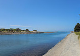 Port Fairy Lighthouse On Griffiths Island