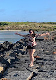 Port Fairy Lighthouse On Griffiths Island