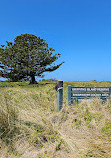 Port Fairy Lighthouse On Griffiths Island