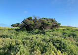 Port Fairy Lighthouse On Griffiths Island