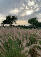 Öffentlicher Park Al Khaleej Al Arabi