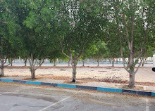 Öffentlicher Park Al Khaleej Al Arabi