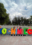 Magical Xochimilco Trajineras