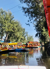 Magical Xochimilco Trajineras