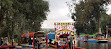 Magical Xochimilco Trajineras