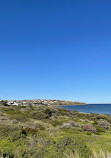 Hallett Cove Boardwalk