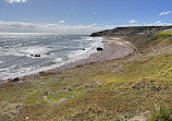 Hallett Cove Boardwalk