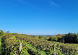 Baraboo Bluff Winery