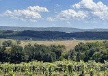 Baraboo Bluff Winery