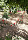 Delgosha Garden