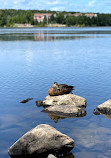 Labrador Place Park