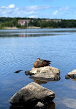 Labrador Place Park