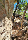 Modoc Rock Shelter National Historic Site