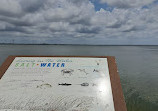 Safety Harbor Nature Boardwalk