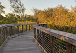 Safety Harbor Nature Boardwalk