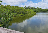 Safety Harbor Nature Boardwalk