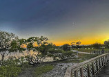 Safety Harbor Nature Boardwalk