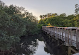 Safety Harbor Nature Boardwalk