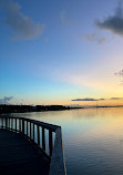 Safety Harbor Nature Boardwalk