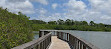 Safety Harbor Nature Boardwalk