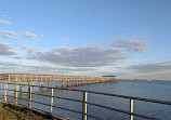 Safety Harbor Nature Boardwalk