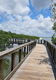 Safety Harbor Nature Boardwalk