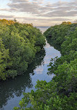 Safety Harbor Nature Boardwalk