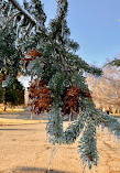 Eastside Park