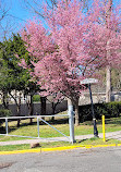 Eastside Park