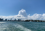 Miami Boat Party