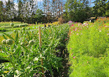 Castle Garden in Ulriksdal