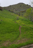 Little Rock Canyon Trail