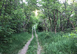 Slate Canyon Trail