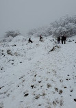 Slate Canyon Trail