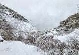 Slate Canyon Trail