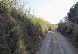 Wasit Wetland Centre