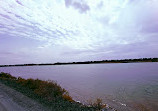 Wasit Wetland Centre