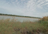 Wasit Wetland Centre