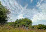 Wasit Wetland Centre