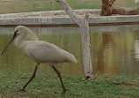 Wasit Wetland Centre