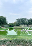 Wasit Wetland Centre