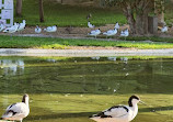 Wasit Wetland Centre