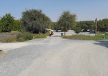 Wasit Wetland Centre