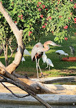 Wasit Wetland Centre