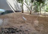 Wasit Wetland Centre