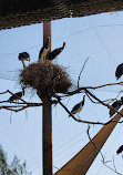 Wasit Wetland Centre